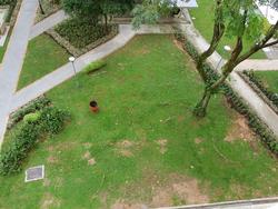 Blk 236 Serangoon Avenue 3 (Serangoon), HDB 4 Rooms #146039952